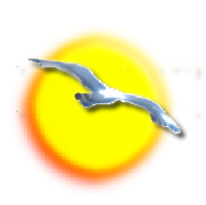 wpb336ca31.png